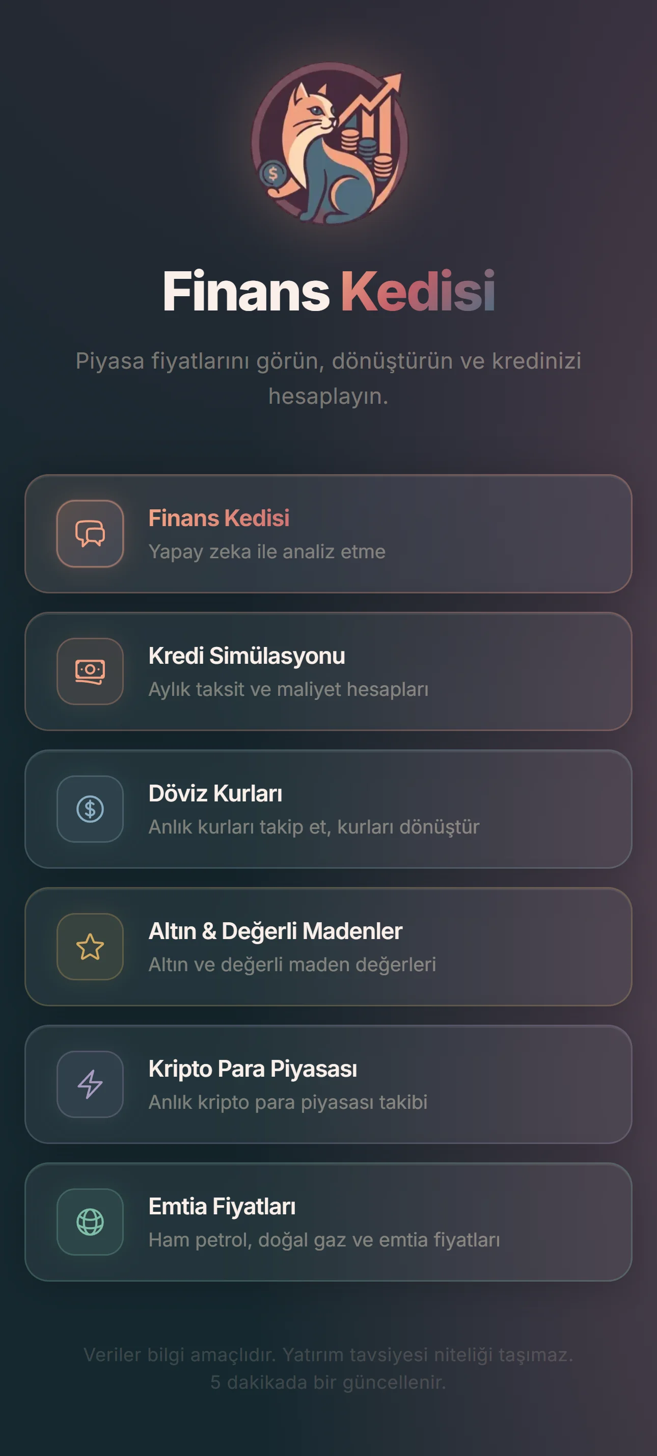 Finans Kedisi: Akıcı Sistem Verileri ve Kredi Analizleri
